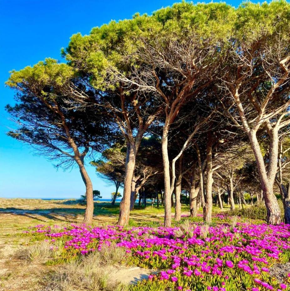 Sorres De Mare Villa Budoni Ngoại thất bức ảnh